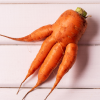 Почему кучерявится морковь? Как спасти морковный урожай?
