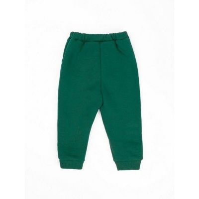 Костюм детский Amarobaby Mono ( худи и брюки), футер 360гр с начесом, зеленый, размер 110