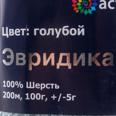 Пряжа Astra Premium 'Эвридика' 100% шерсть 200м/100гр (13 голубой)