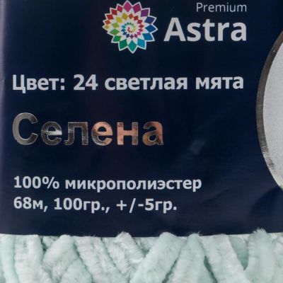 Пряжа Astra Premium 'Селена' 100% микрополиэстер 68м/100гр (24 светлая мята)