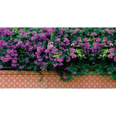 Фотобаннер, 250 × 150 см, с фотопечатью, люверсы шаг 1 м, «Фиолетовые цветы»