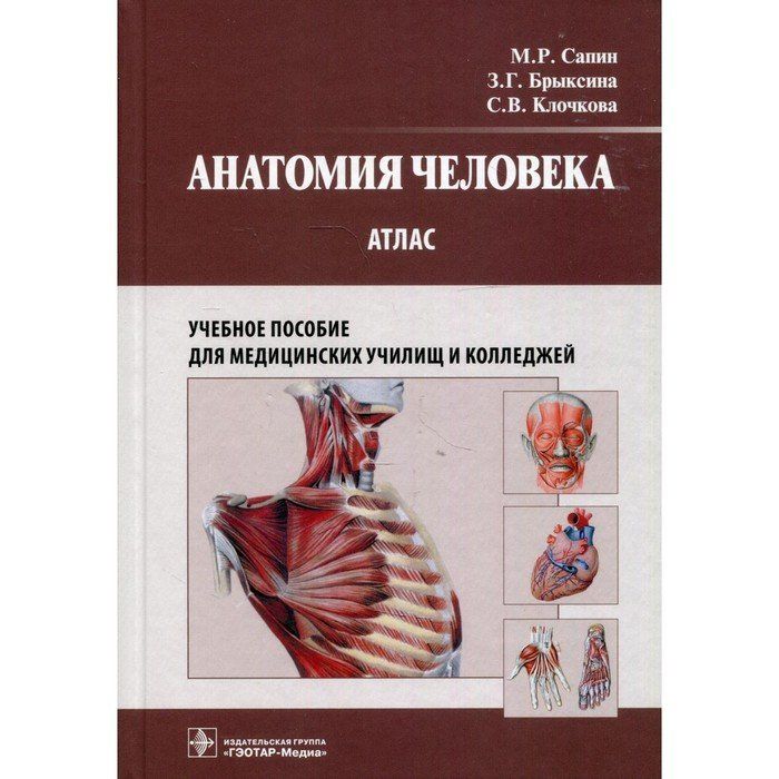 Сапин анатомия 2020. Анатомия человека м.р. Сапин, з.г. Брыксина. Атлас по анатомии человека Сапин. Анатомия атлас Сапин Брыксина Чава. Сапин Брыксина анатомия человека.