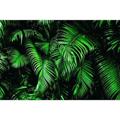 Фотобаннер, 300 × 200 см, с фотопечатью, люверсы шаг 1 м, «Зелёные листья»
