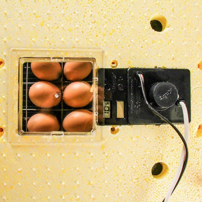 Инкубатор золушка на 70 яиц автоматический переворот