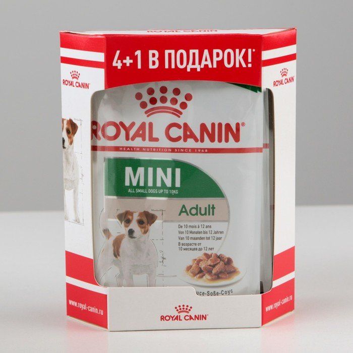 Корм для собак роял канин эдалт. Влажный корм для собак Royal Canin Mini Adult, для мелких пород, мясо, 85г. Влажный корм мини Эдалт. Royal Canin для щенков мелких пород влажный. Роял мини Эдалт.