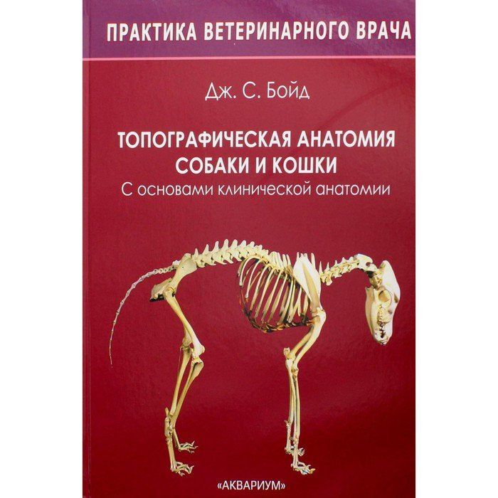 Анатомия собак и кошек. Анатомия собаки. Анатомия собаки и кошки фольмерхаус. Карманный справочник ветеринарного врача.