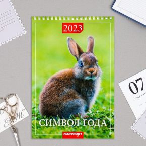Календарь на пружине "Символ года. Вид 1" 2023 год, 17х25 см