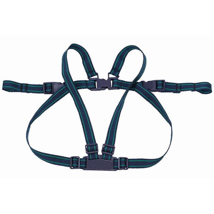 Тронуть вожжи. Вожжи Safety 1st Safety harness. Вожжи для детей Uviton 0024/01. Вожжи Canpol Babies Safety harness. Возжи корда.