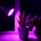Светильники и лампы для растений