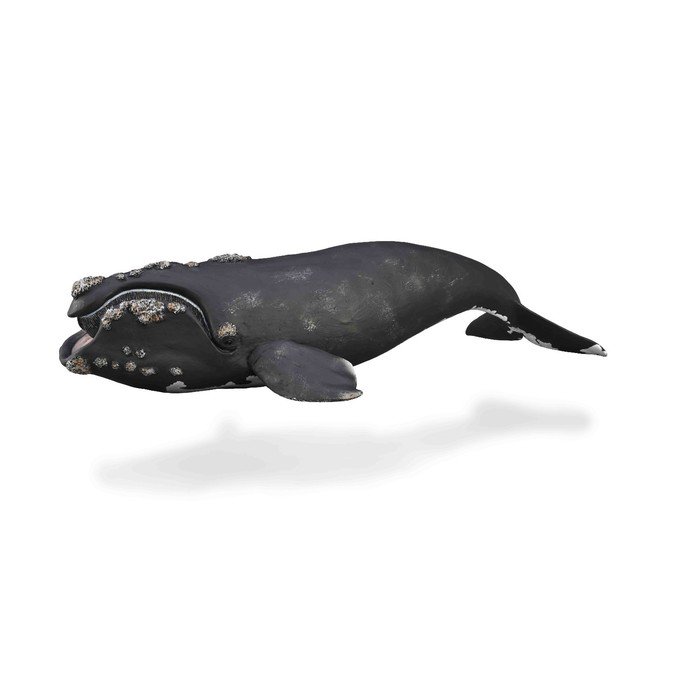 Фигурка «Южный кит», XL