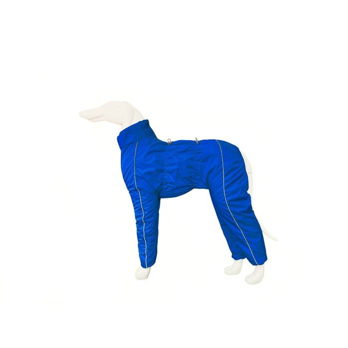 Зимний комбинезон для собак (кобель), размер 55-1 (ДС 55, ОГ 80, ОШ 62), синий