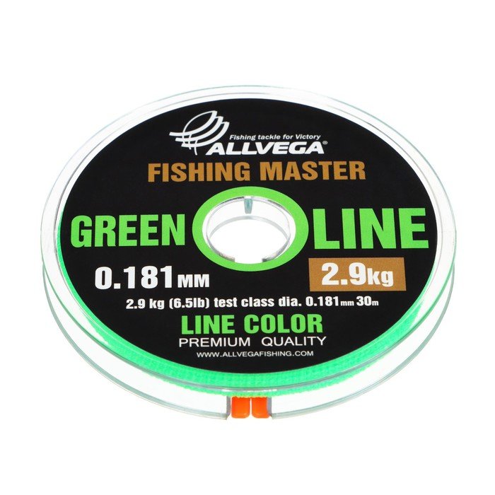 Леска монофильная ALLVEGA Fishing Master, диаметр 0.181 мм, тест 2.9 кг, 30 м, зеленая