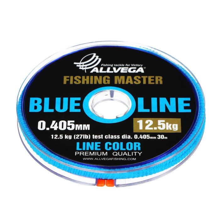 Леска монофильная ALLVEGA Fishing Master, диаметр 0.405 мм, тест 12.5 кг, 30 м, голубая
