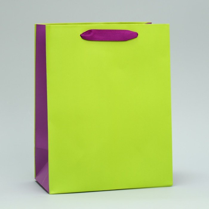Пакет подарочный двухцветный «Салатовый-сиреневый», MS 18 х 23 х 10 см