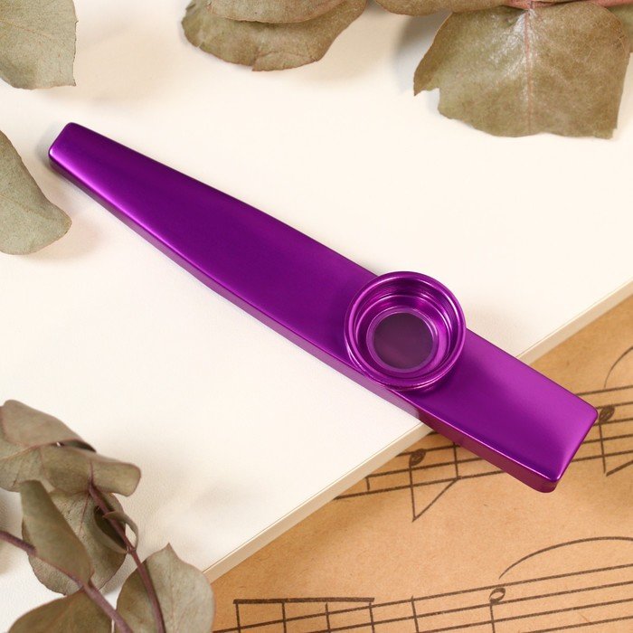 Музыкальный инструмент Казу Music Life, фиолетовый
