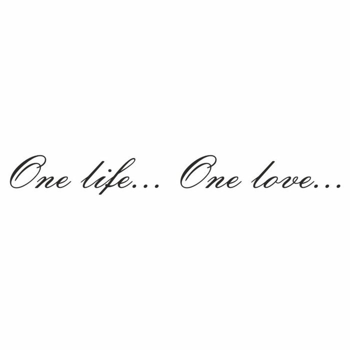 Наклейка "One life...One love...", черная, плоттер, 700 х 100 х 1 мм