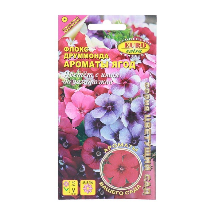 Семена цветов Флокс Друммонда "Ароматы ягод" смесь, 0,1 г