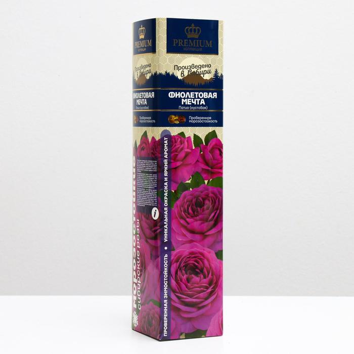 Саженец розы Фиолетовая мечта Весна 2024, 1 шт.