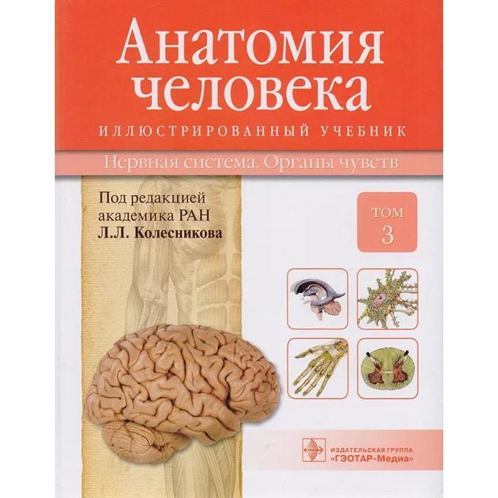 Анатомия человека. В 3-х томах. Том 3. Нервная система. Органы чувств. Колесников Л.