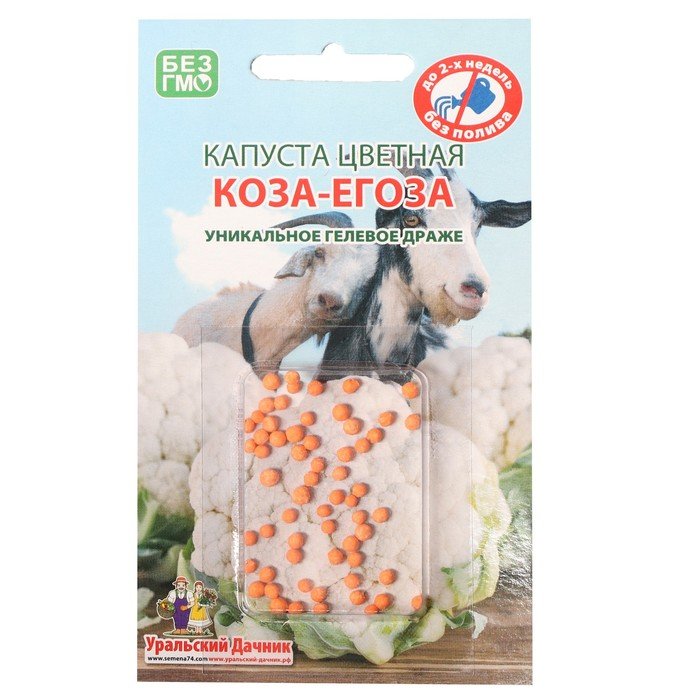 Цветная Капуста Коза Дереза Купить Семена