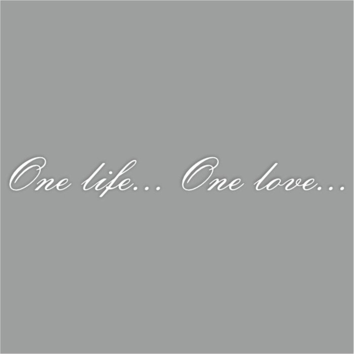 Наклейка "One life...One love...", белая, плоттер, 700 х 100 х 1 мм