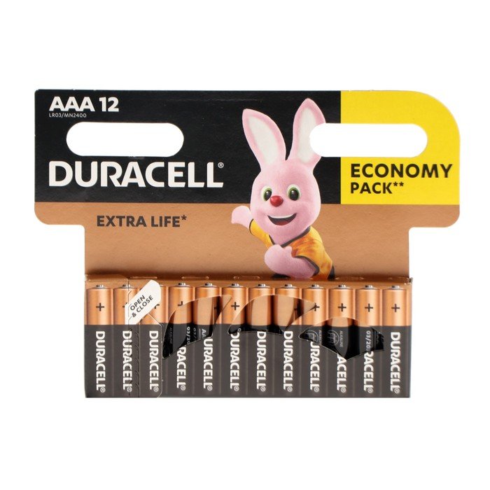 Duracell basic aaa