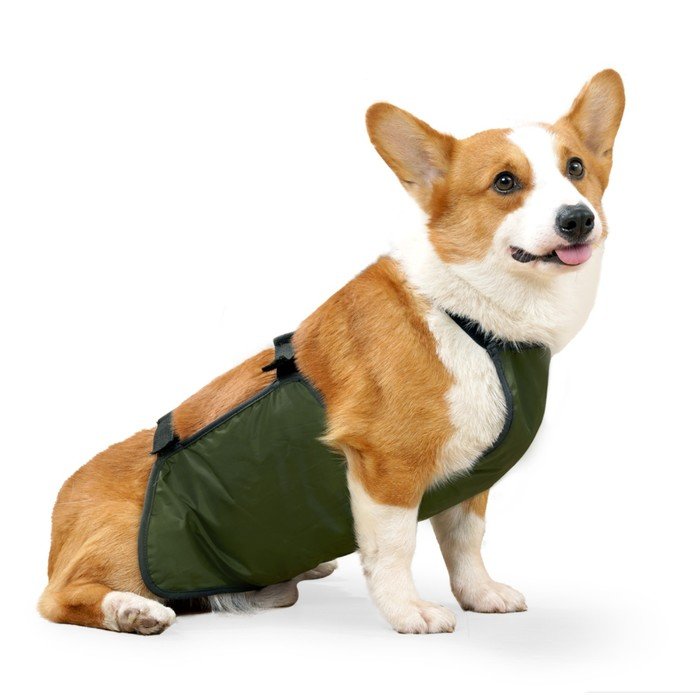 Нагрудник послеоперационный для собак весом 15-23 кг, размер XL (ОГ 50, ОТ 50 см), зеленый