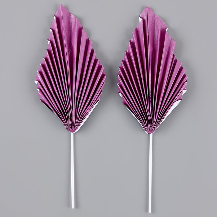 Набор для украшения "Перо", набор 2 шт, цвет фиолетовый