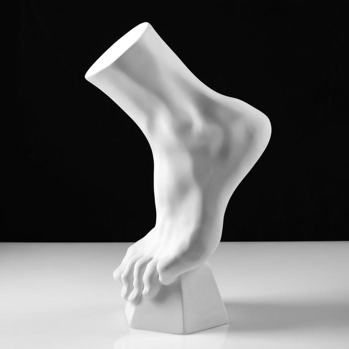 Гипсовая фигура анатомическая: стопа вертикальная, 14 х 23,5 х 38 см