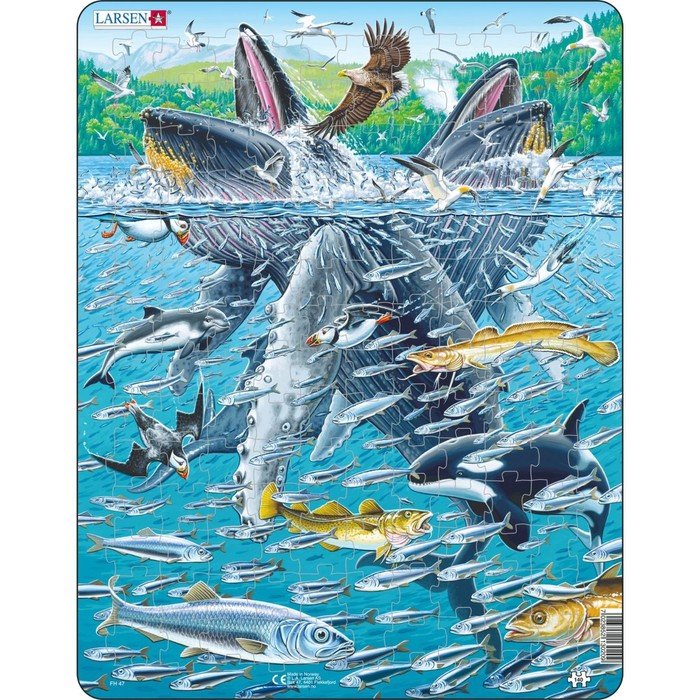 Пазл Larsen «Горбатые киты в стае сельди», 140 элементов