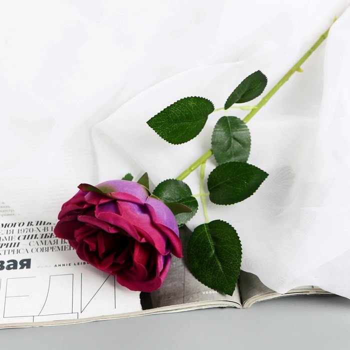 Цветы искусственные "Роза Вивальди" d-7 50 см, фиолетовый