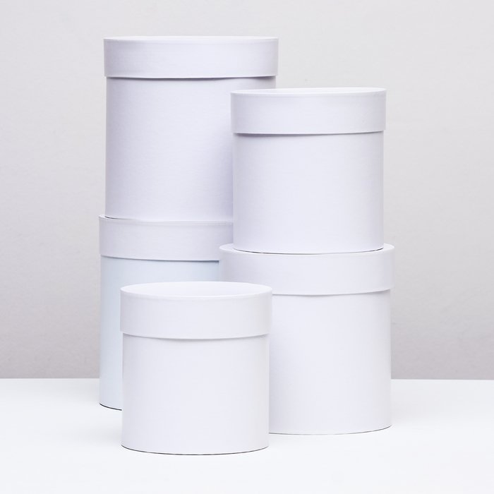 Набор круглых коробок 5в1 "Белизна перламутровая", 20 × 20 ‒15 × 15 см
