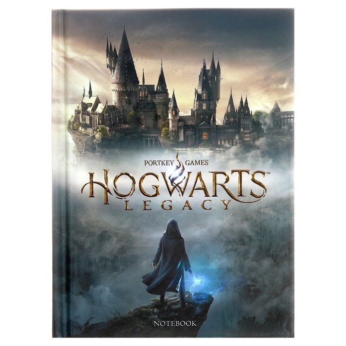 Записная книжка, А6, 48 листов, в клетку, "Hogwarts Legacy. Гарри Поттер", глянцевая ламинация, блок офсет 60г/м2
