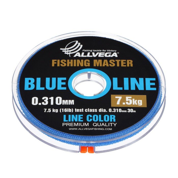 Леска монофильная ALLVEGA Fishing Master, диаметр 0.310 мм, тест 7.5 кг, 30 м, голубая