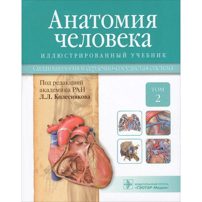 Анатомия человека. В 3-х томах. Том 2. Спланхнология и сердечно-сосудистая система. Колесников Л.Л.