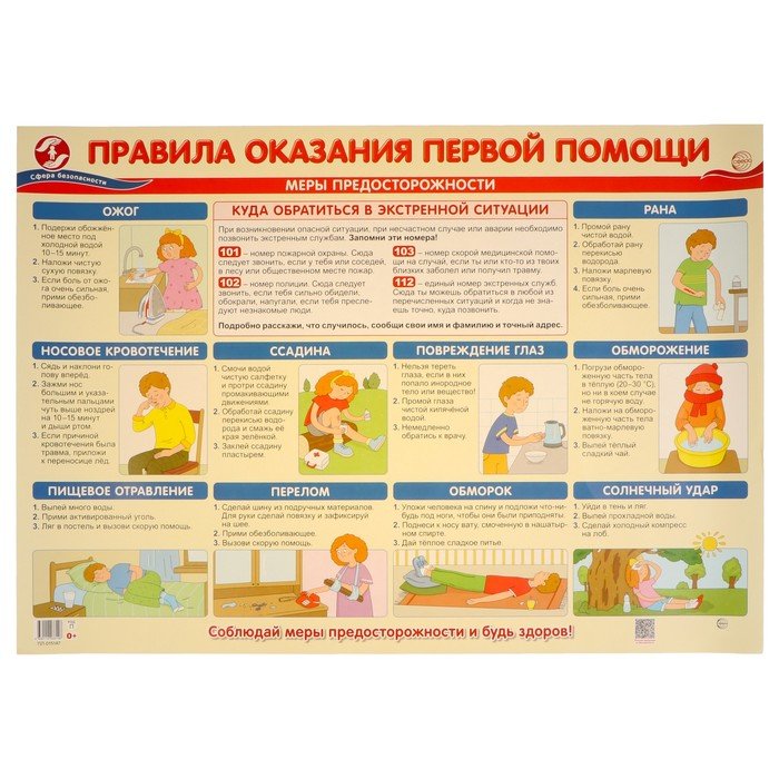 Плакат "Правила оказания первой помощи" в пакете, 69х49 см