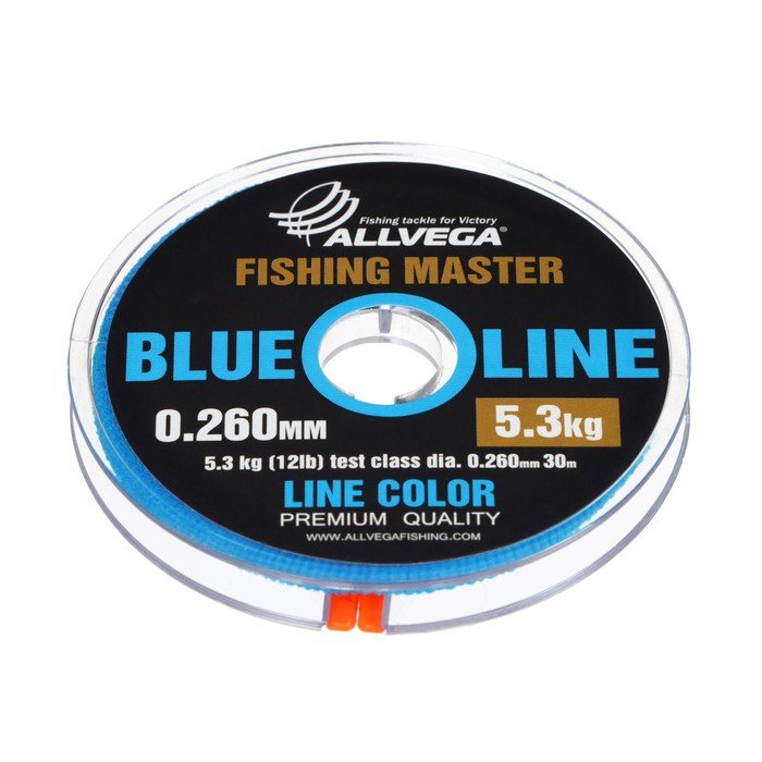 Леска монофильная ALLVEGA Fishing Master, диаметр 0.260  мм, тест 5.3 кг, 30 м, голубая