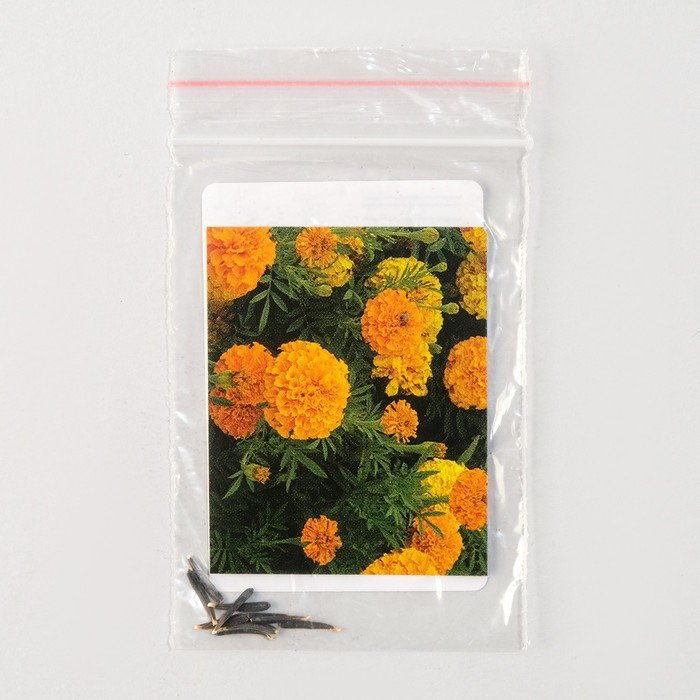 Семена цветов Бархатцы "Леди", F1, Оранж, Pan American, 10 шт