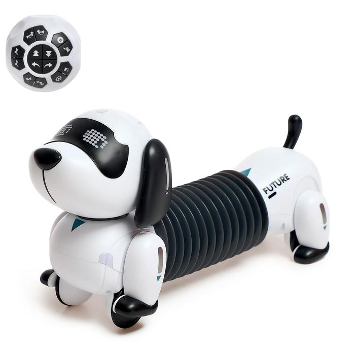 Робот собака «Такса» ZHORYA, на пульте управления, интерактивный: звук, свет, на аккумуляторе, на русском языке