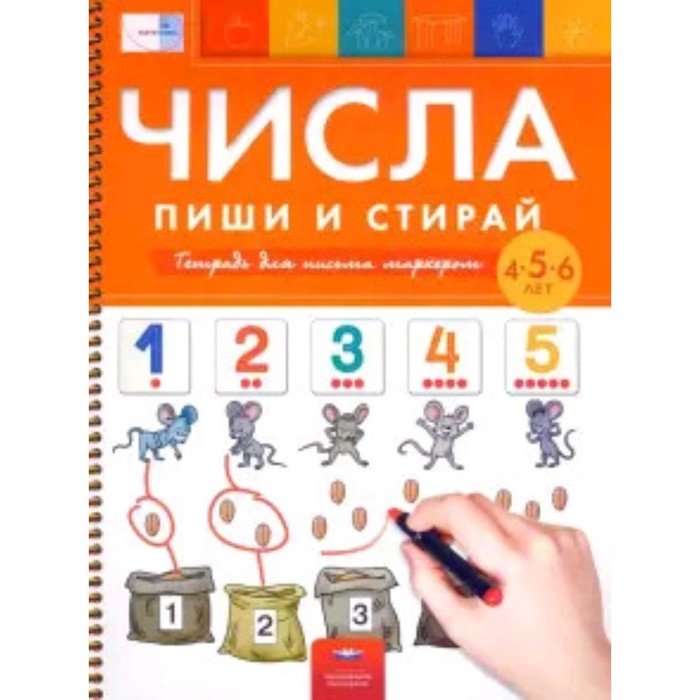 Числа. Тетрадь для письма маркером. Для детей 4-6 лет. Вершинина Е.А., Федосова И.Е.